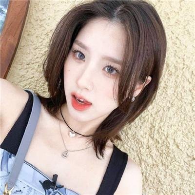 八犬传:东方八犬异闻